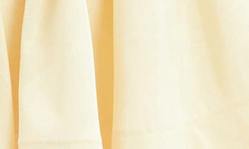 Bardot Larson Corset Fit & Flare Minidress