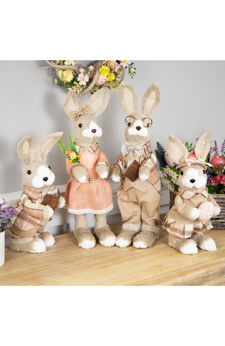 Northlight Rustic Boy Rabbit Easter Figure with Book - 16.25" - Beige, Alternate, color, Beige