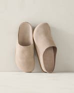 Haven Well Within Suede Clogs