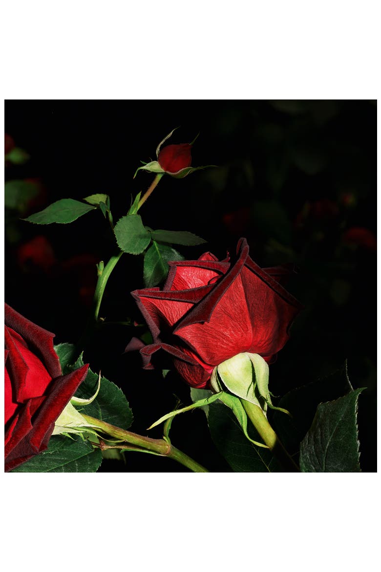 Velours - Flamboyant Rose Eau de Parfum, Alternate, color, NO COLOR