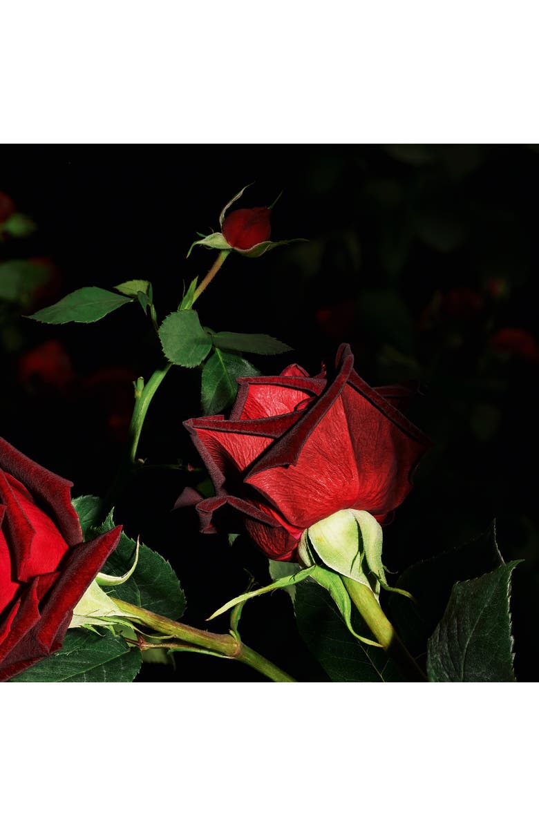 Yves Saint Laurent Velours - Flamboyant Rose Eau de Parfum, Alternate, color, 