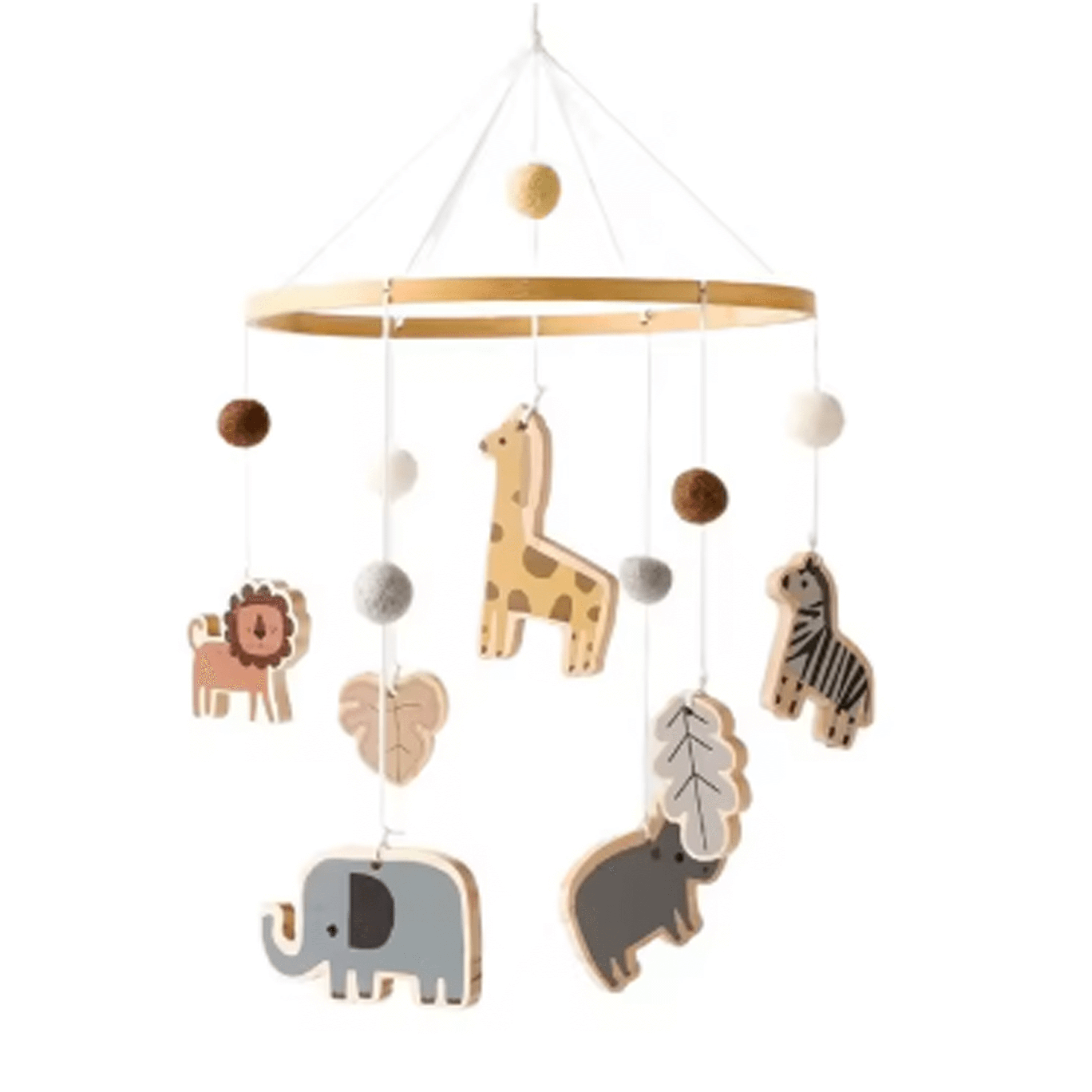 Animal Safari