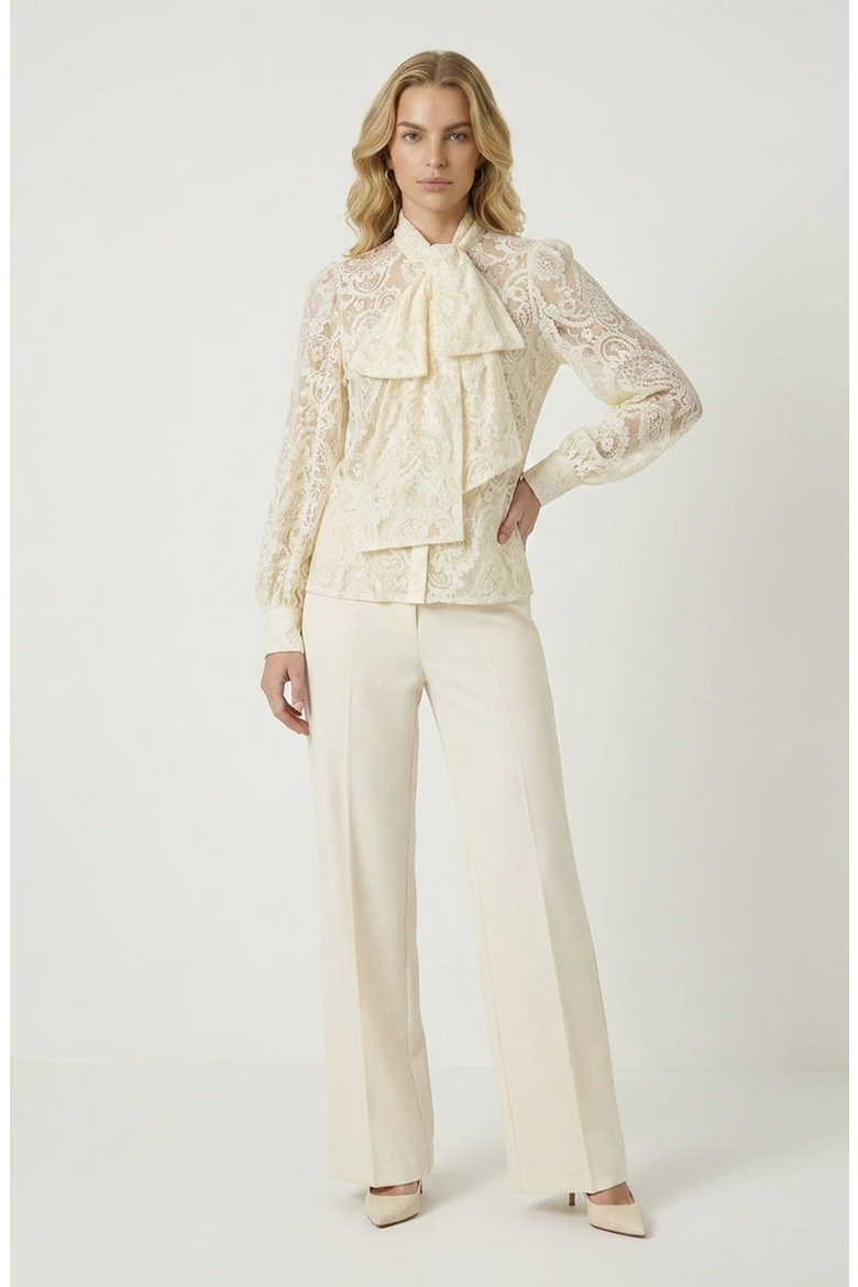 Tie Neck Sheer Long Sleeve Lace Blouse, Alternate, color, Beige