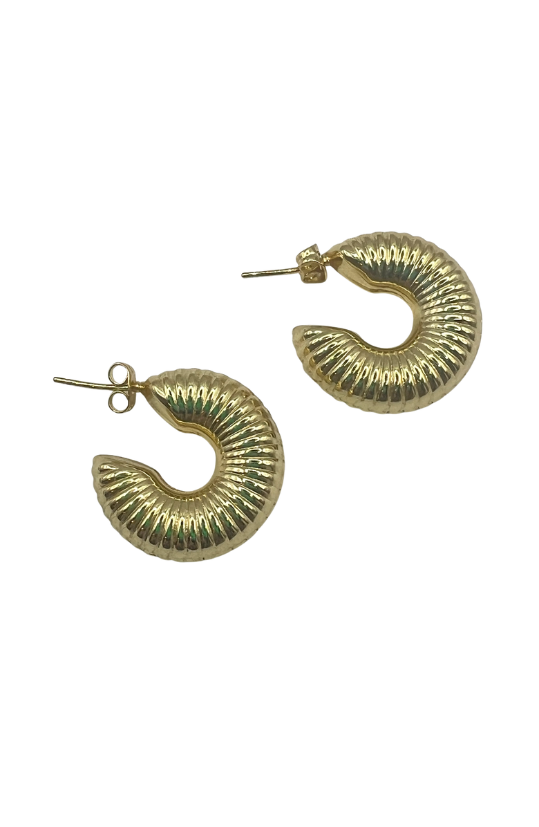 HOLST+LEE Everyday Hoop Earring, Main, color, Gold