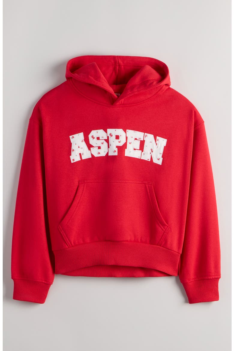 Kids' Graphic Print Hoodie, Main, color, RED ASPEN FLORAL