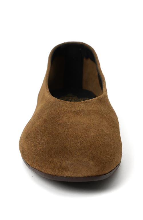 Menina Step Lucrecia Suede Ballet Flat In Brown
