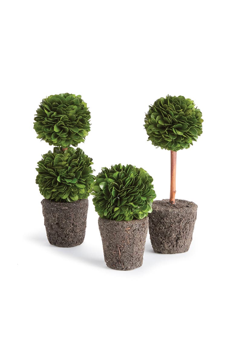 Boxwood Mini Topiary Drop-Ins Set of 3, Main, color, Green