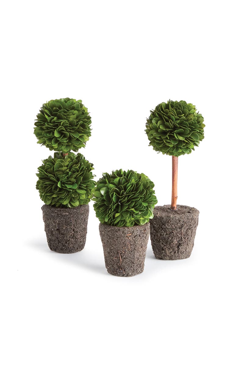 Napa Home & Garden Boxwood Mini Topiary Drop-Ins Set of 3, Main, color, Green