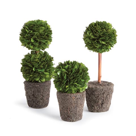 Boxwood Mini Topiary Drop-Ins Set of 3