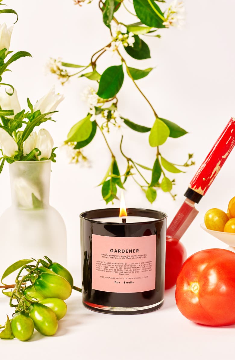 Boy Smells Gardener Scented Candle, Alternate, color, 