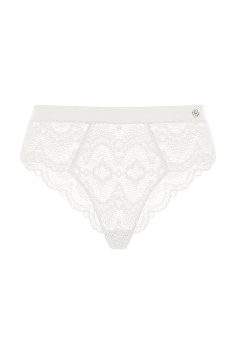 Flame Brief