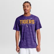 Nike Men's Nike Purple LSU Tigers Dugout Velocity Dri-FIT T-Shirt