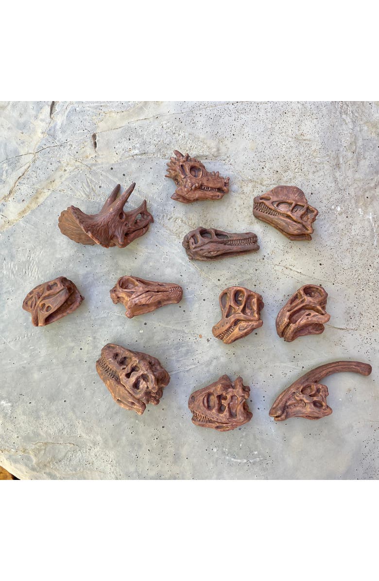 Safari Ltd. Dinosaur Skulls Toy, Alternate, color, NO COLOR