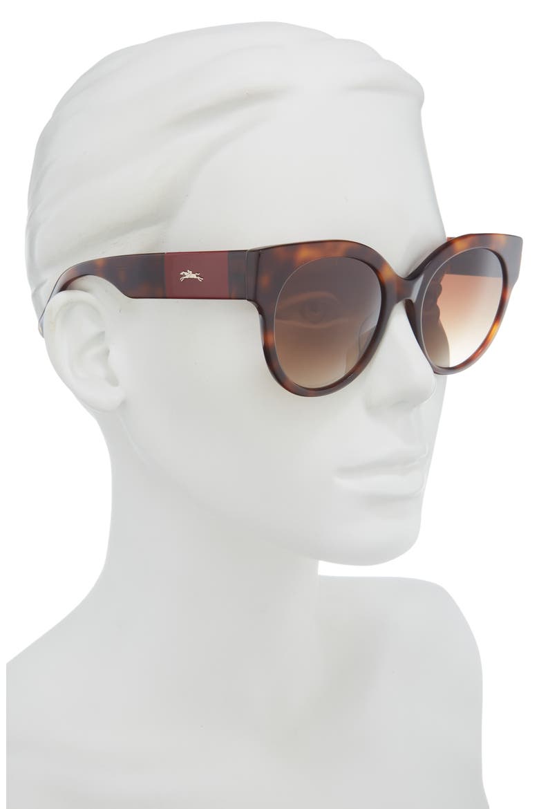 53mm Gradient Round Sunglasses, Alternate, color, HAVANA