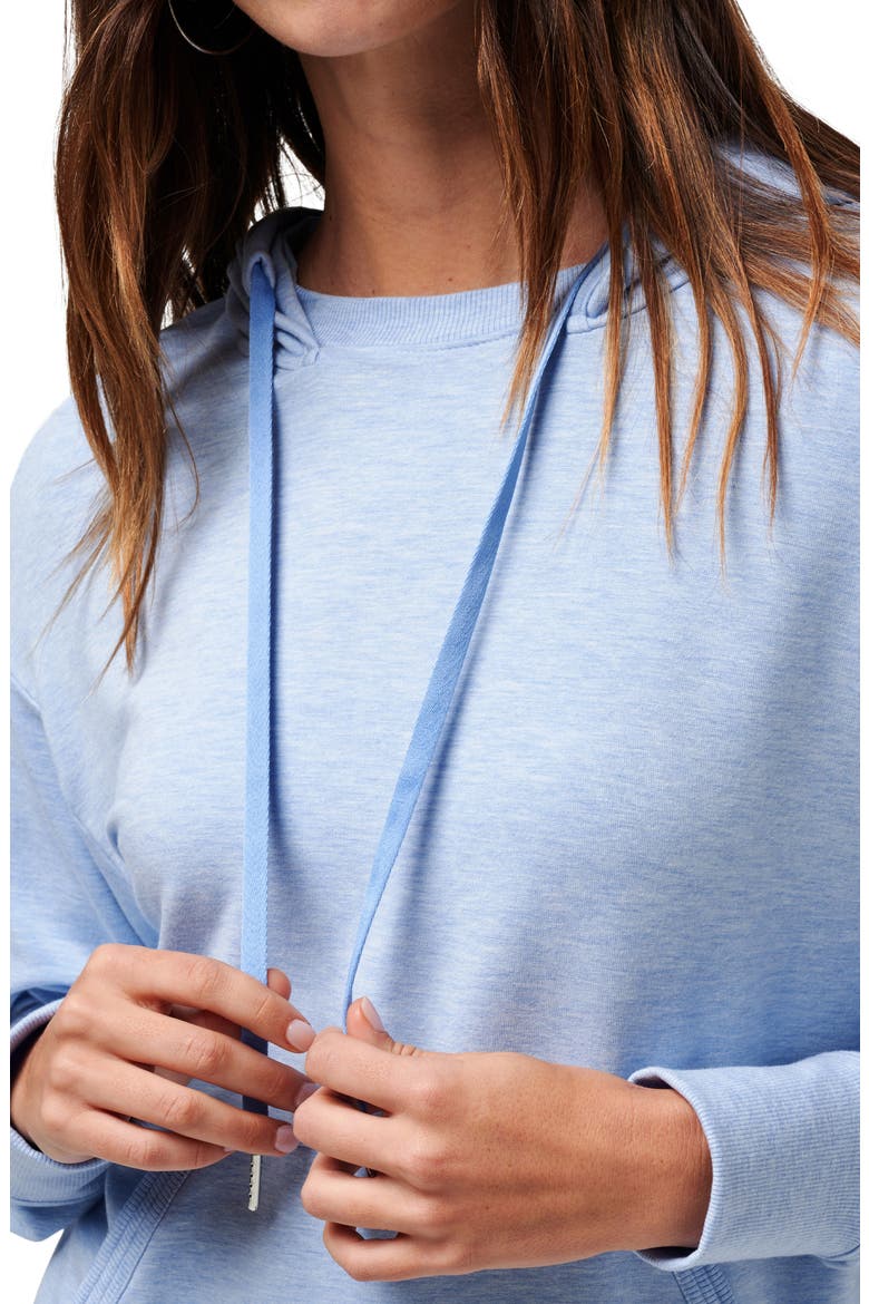 Hidden Gems Hoodie, Alternate, color, HEATHER AZURINE