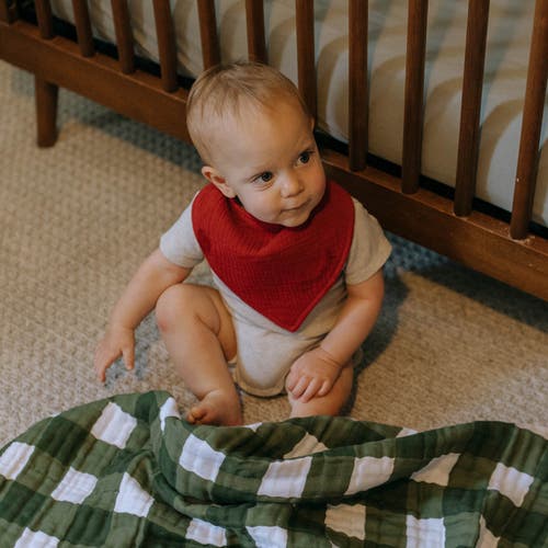 Parker Baby Co. Muslin Bandana Bibs In Rose