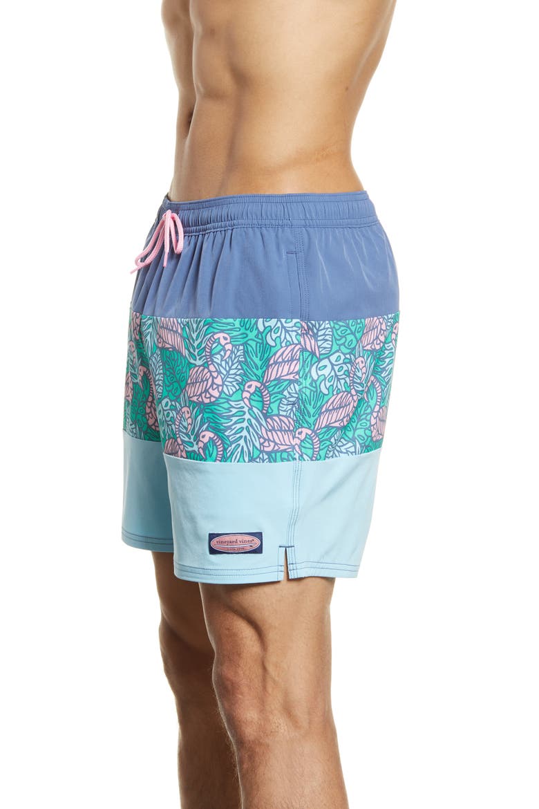 Chappy Swim Trunks, Alternate, color, FLAG BLUE