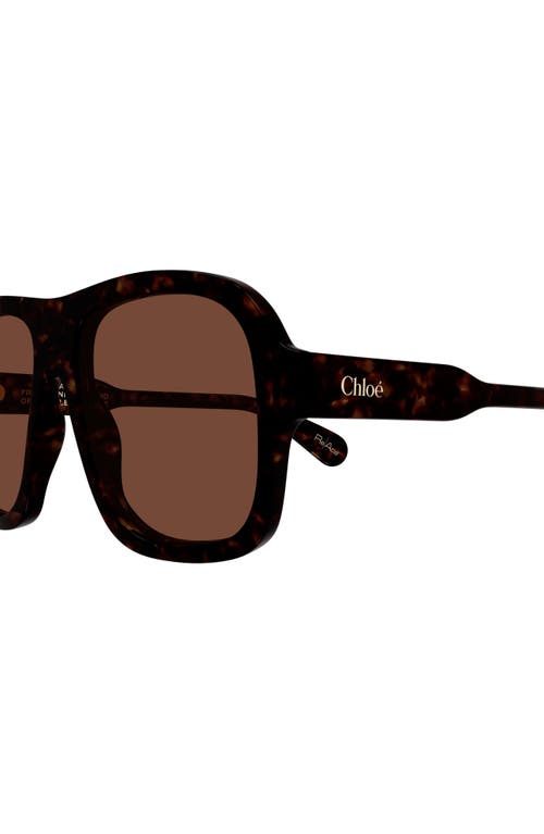 Chloé 58mm Pilot Sunglasses In Brown