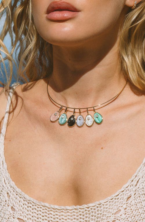 Thatch Cowrie Amazonite Charm In Amazonite