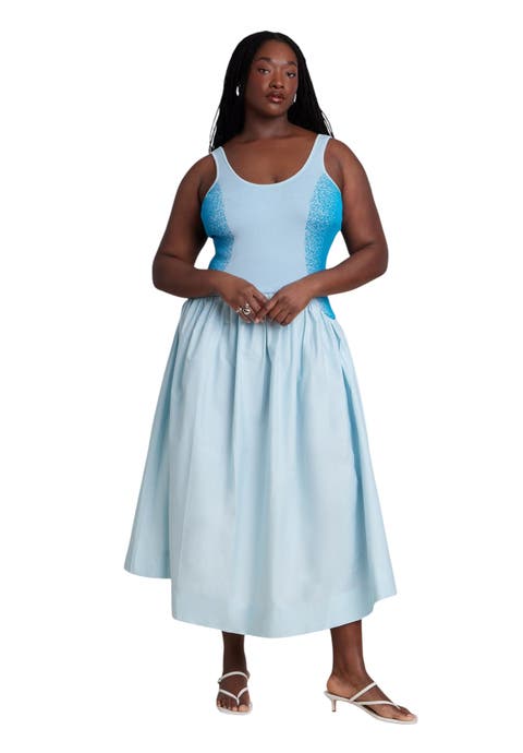 Flare Skirt Tank Dress (plus)