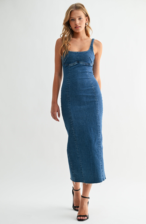 Seamed Denim Dress