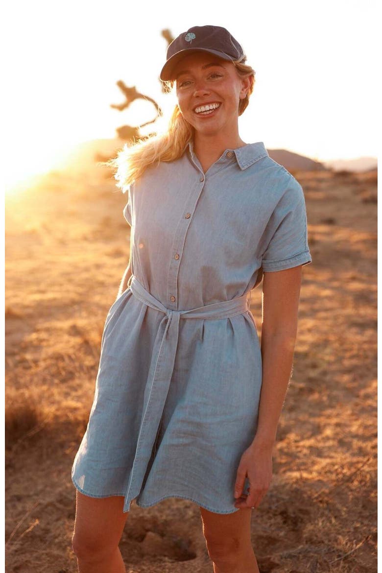 Tern Dress, Alternate, color, Light Wash