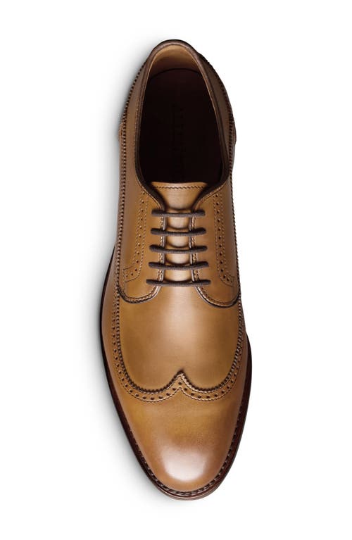 Allen Edmonds Winston Wingtip Derby In Brown