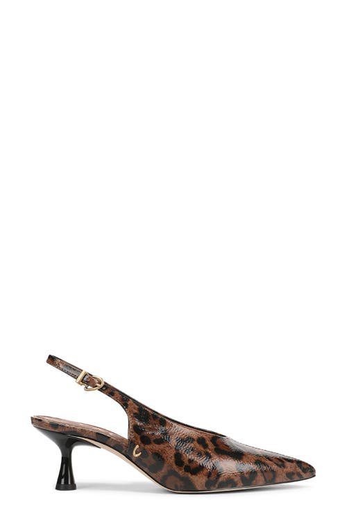Circus Ny By Sam Edelman Fawn Pointed Toe Slingback Pump In Brown