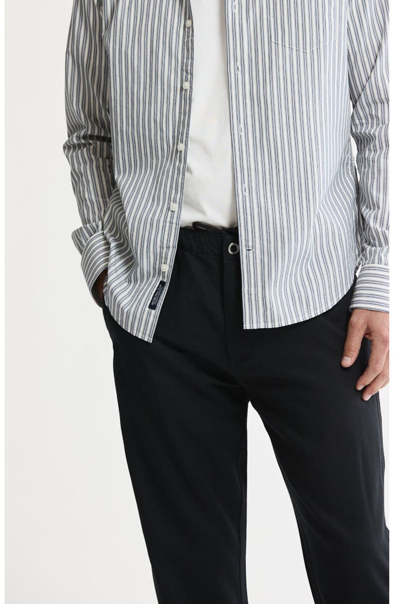 JACHS Hayati Cotton Button-Down Shirt, Alternate, color, Grey Stripe