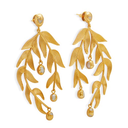 Dhwani Bansal Sooki Chandelier Earrings In Gold Plated