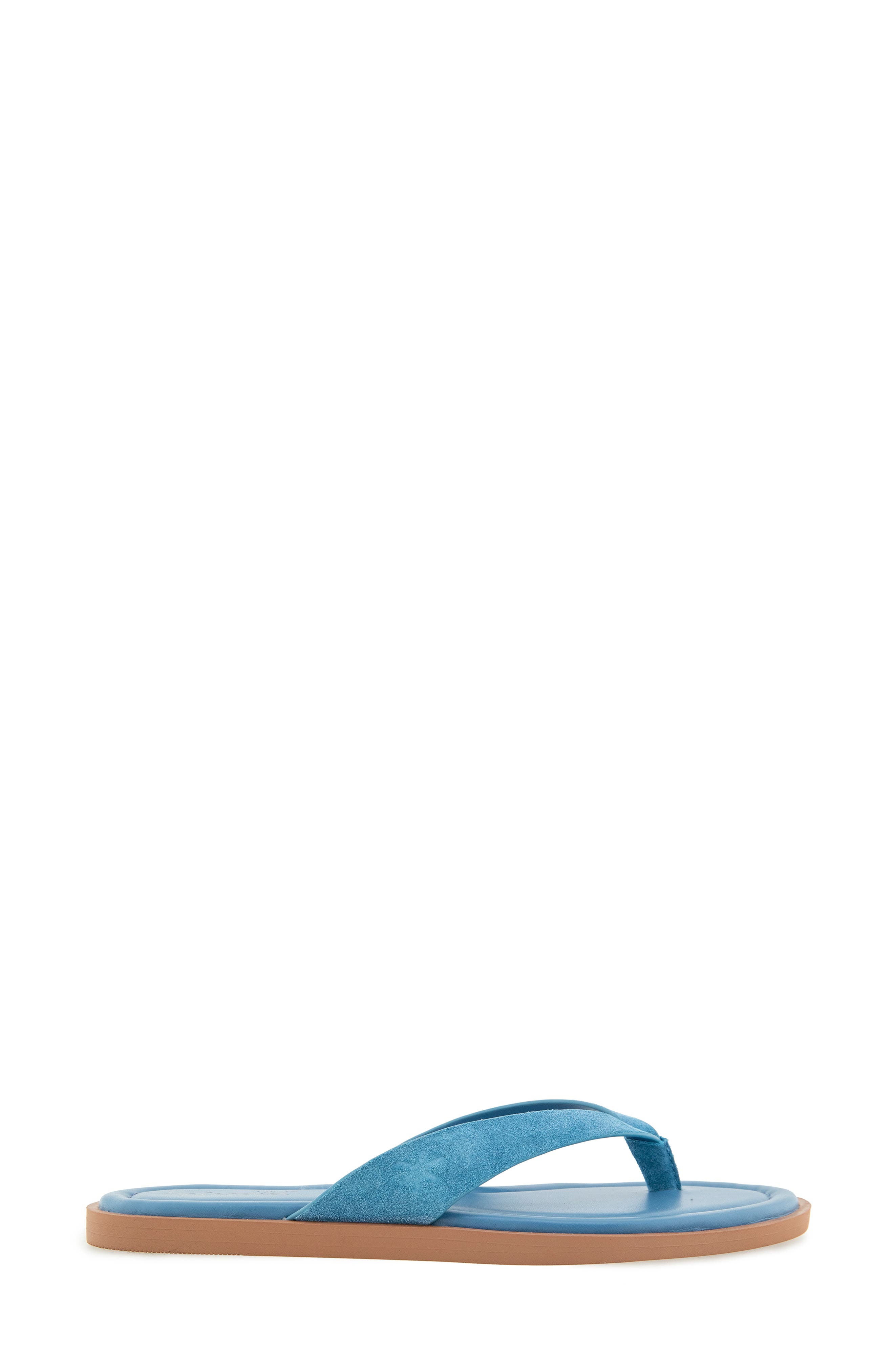Splendid Ravi Flip Flop Sandal, Alternate, color, Indigo
