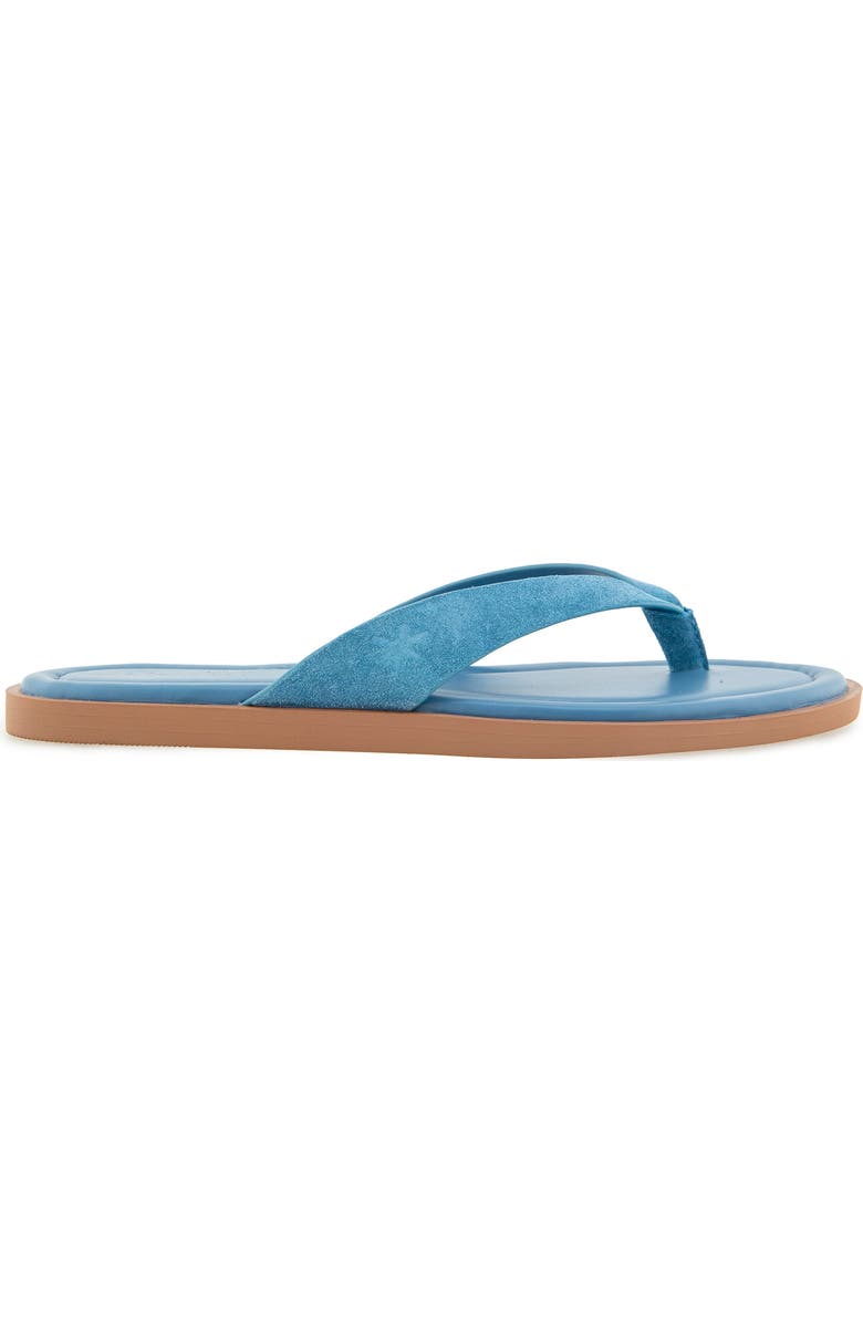 Splendid Ravi Flip Flop Sandal, Alternate, color, Indigo
