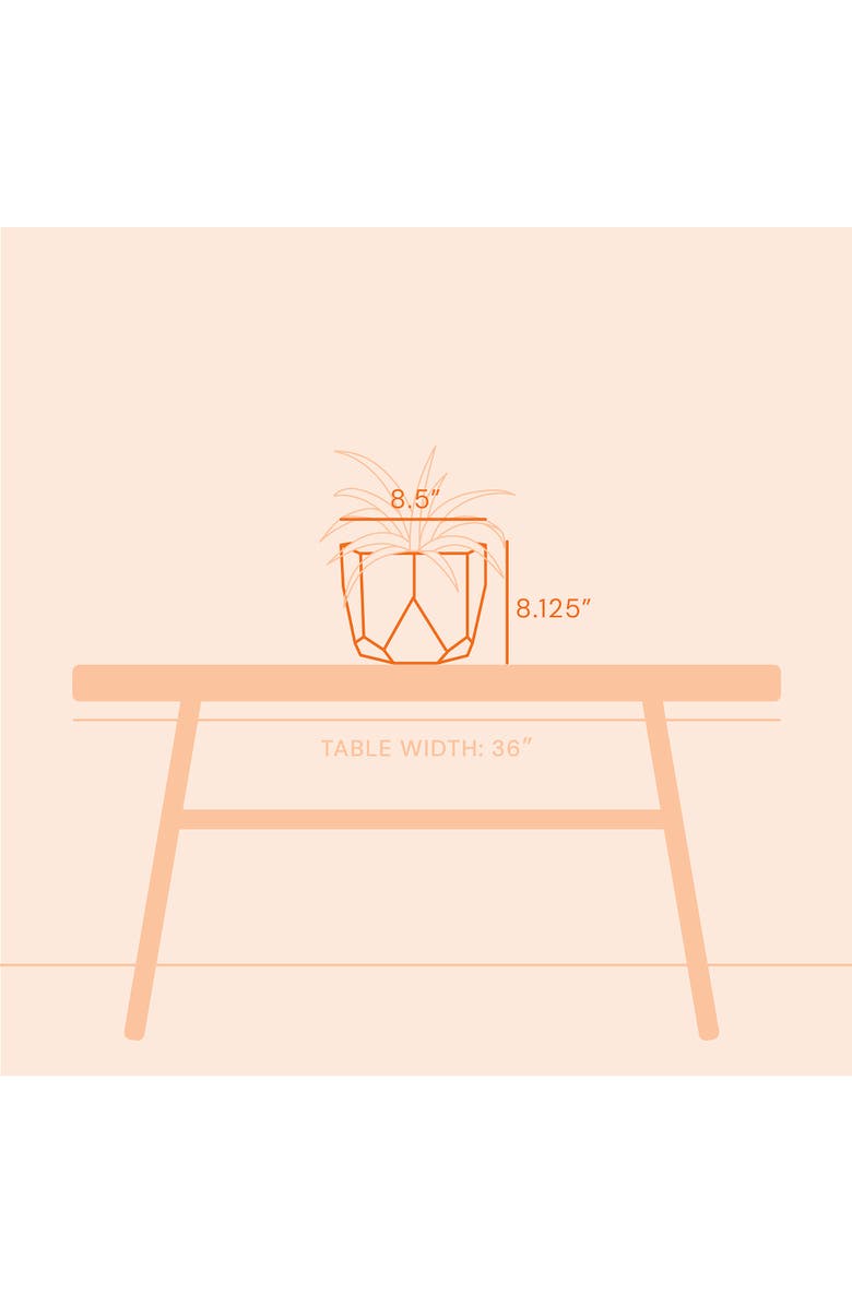 Bloem Tuxton 8.25"W x 8.25"H Hexagon Gardening Planter, Black, Alternate, color, Black