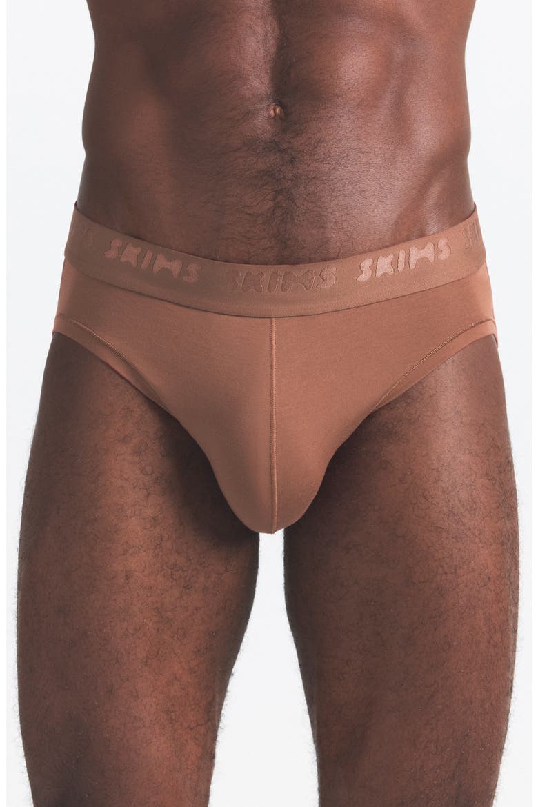Men's 3-Pack Seamless Modal Blend Briefs, Alternate, color, WOOD MULTI