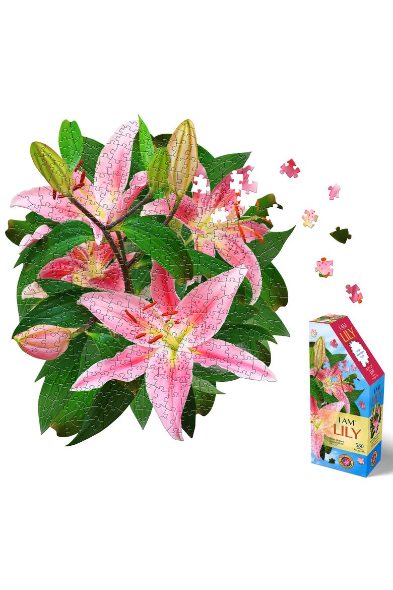 LILY 350 Piece Jigsaw Puzzle, Alternate, color, Multicolored