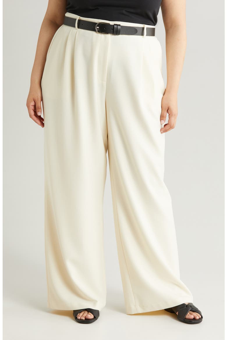 Pleat Front Wide Leg Pants, Alternate, color, IVORY BIRCH