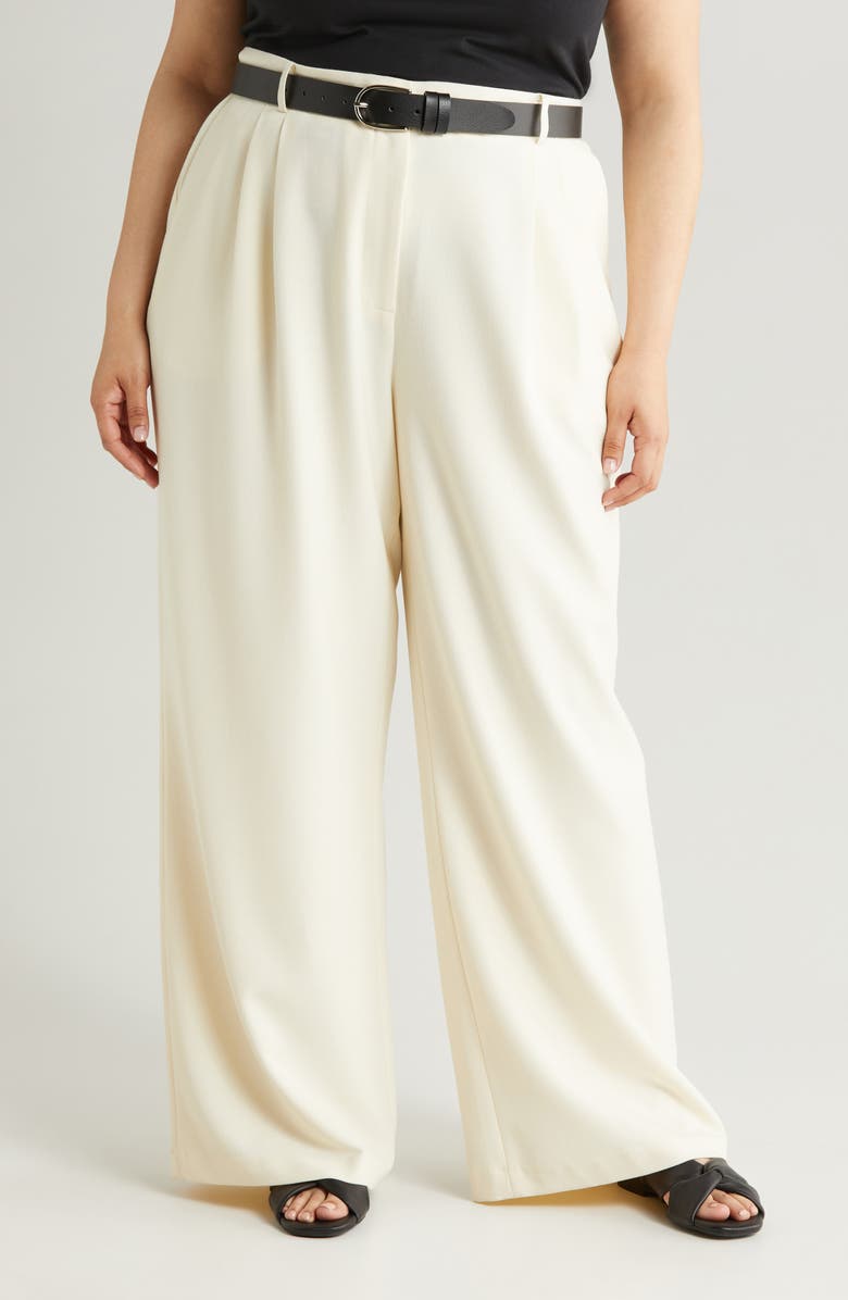 Nordstrom Pleat Front Wide Leg Pants, Alternate, color, 