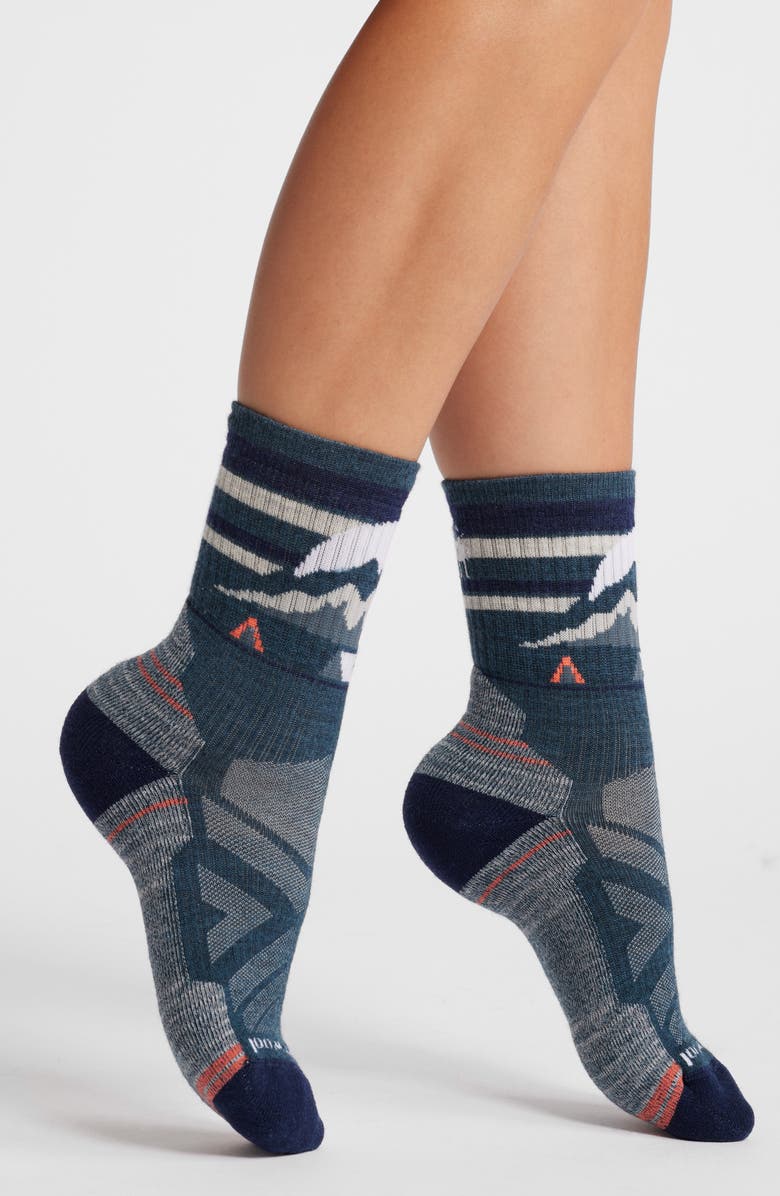 Smartwool Hike Light Cushion Crew Socks, Main, color, 