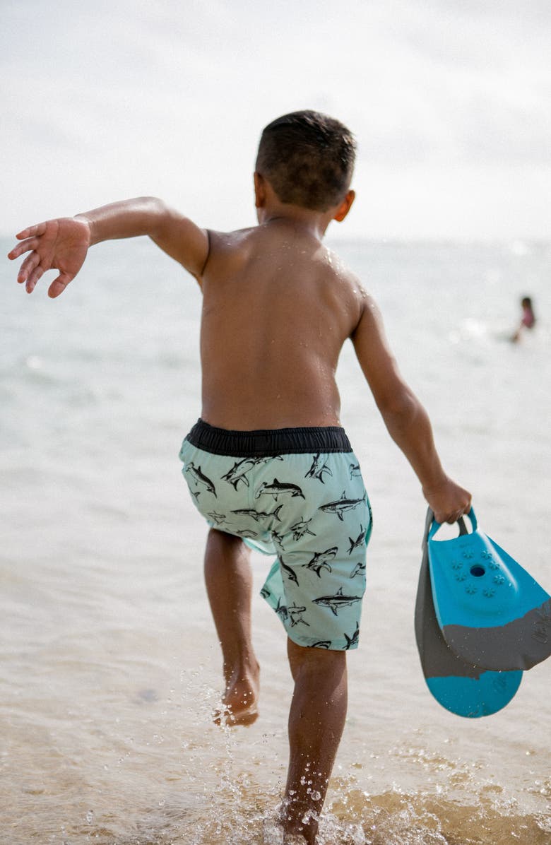 Feather 4 Arrow Kids' Sea King Swim Trunks, Alternate, color, 