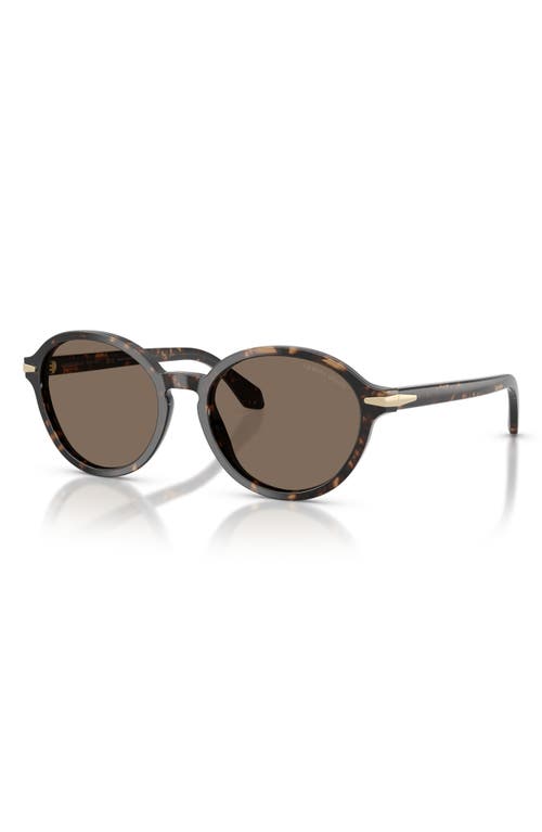 Giorgio Armani Round-frame Sunglasses In Brown
