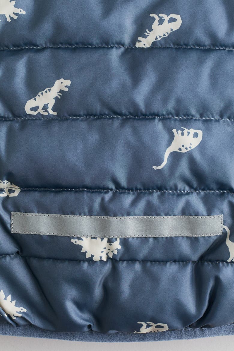 Water-Repellent Printed Puffer Jacket, Alternate, color, Dusty blue/dinosaurs