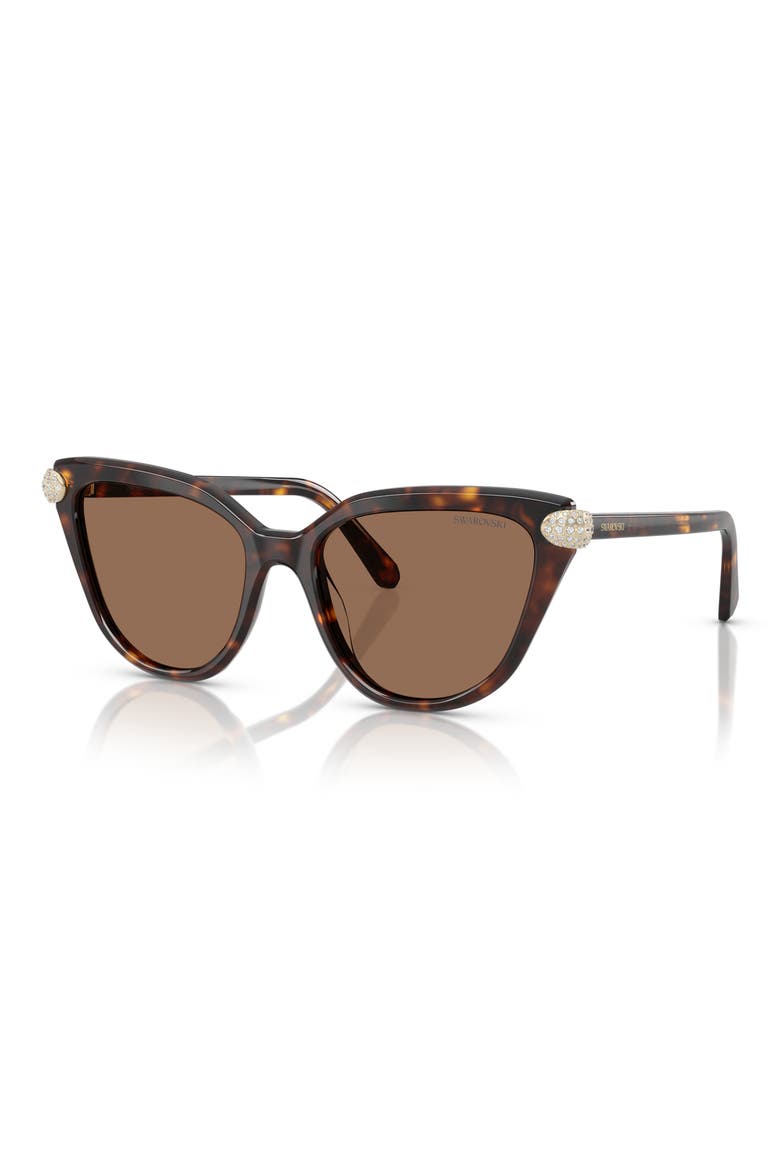56mm Cat Eye Sunglasses, Alternate, color, HAVANA/ DARK BROWN