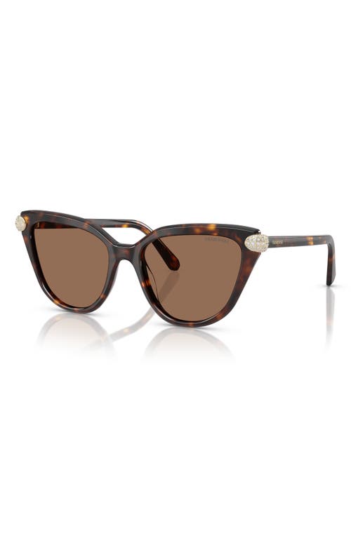 Swarovski Sk6038 Cat-eye Embellished Sunglasses In Havana/dark Brown