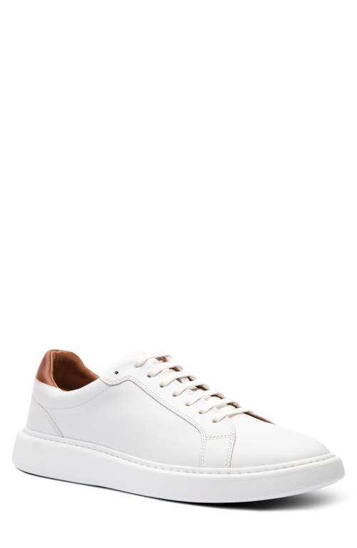 Gordon Rush Devon Sneaker in White/Luggage 