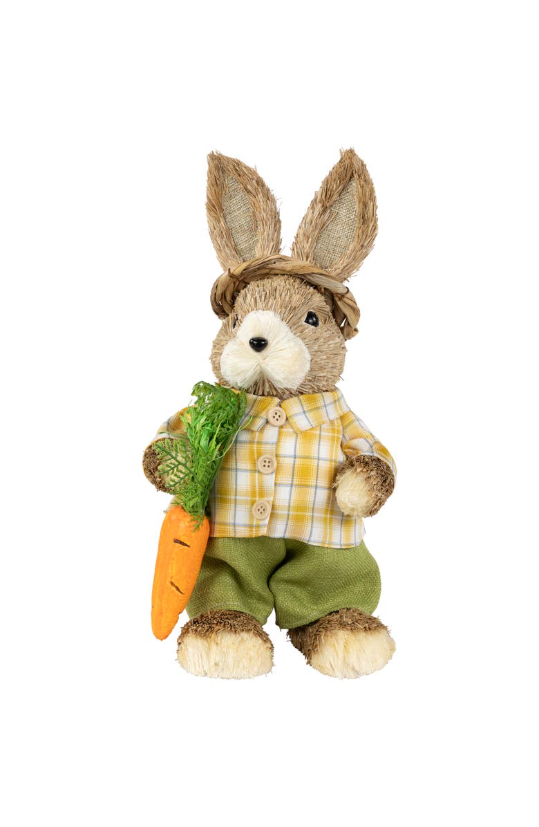 Northlight Rustic Boy Rabbit with Carrot Standing Easter Figure - 13.75" - Brown and Yellow, Main, color, Brown