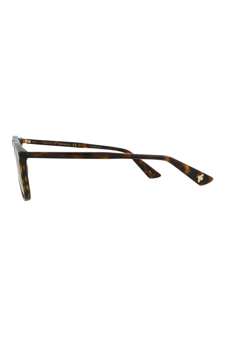53mm Round Oval Sunglasses, Alternate, color, HAVANA BROWN