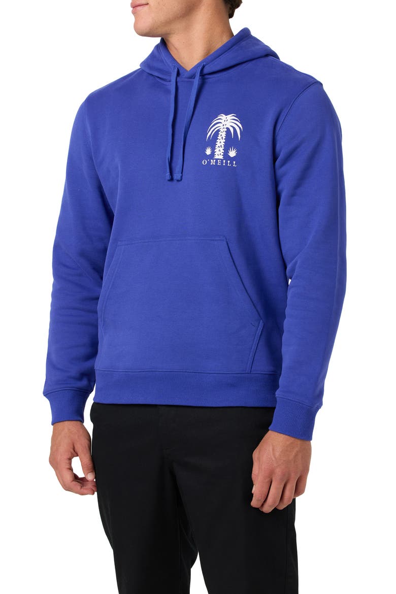 Palm Classics Pullover Hoodie, Alternate, color, ROYAL BLUE