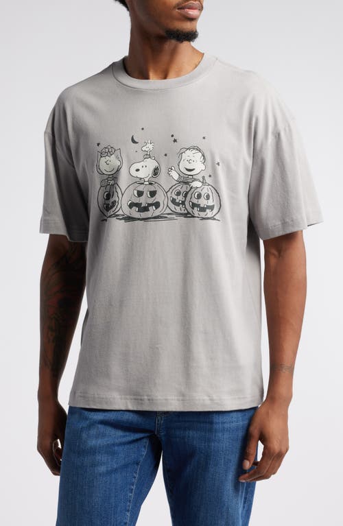 Vinyl Icons xPeanuts® Pumpkin Cotton Graphic T-Shirt in Grey 