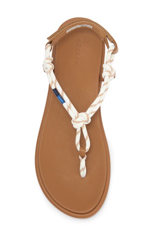 SPERRY SPERRY ISLA T-BAR SLINGBACK SANDAL