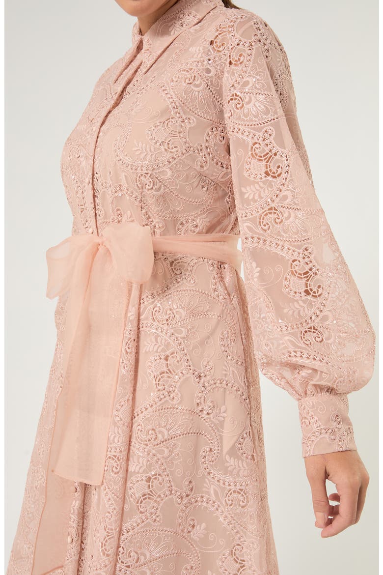 Paisley Embroidered Shirtdress, Alternate, color, SKIN
